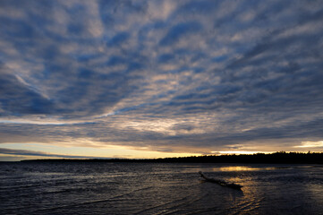 Log on shallow beach of Singing Sands Provincial Park at sundown