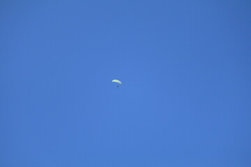  paragliders paraglider