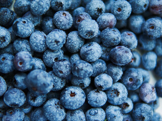 Close up of blueberries covered with water droplets