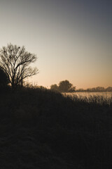 Landscape of sunrise over the river with rushes.
