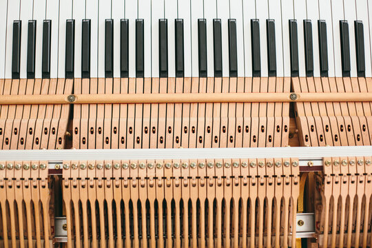 Mechanism of a piano keyboard