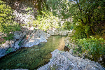 Rivière dans la forêt