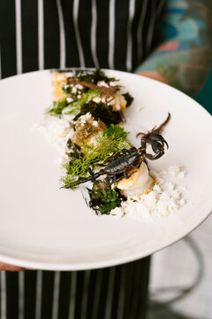 wood fired scorpion on a plate