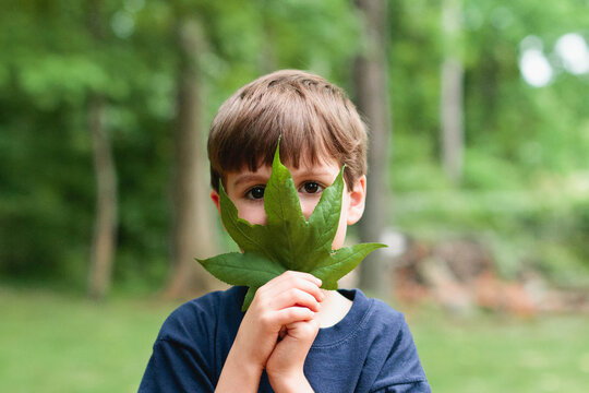 boy holding large leaf over face