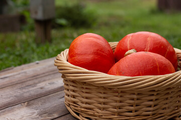 pumpkin in a basket on a table in the garden