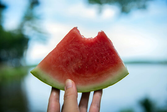 Hand Holds Slice Of Watermelon With One Bite Taken Out