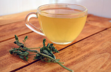 Green tea with mint is the best drink against viruses.