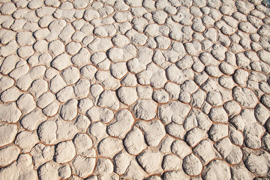 Caked desert mud texture from Sossusvlei, Namibia