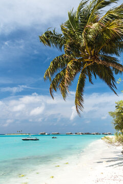 paradisiac beach on the maledives