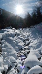 Bach, Winter, gefroren