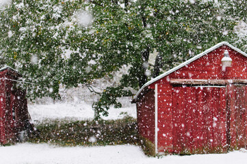 snow flakes falling near a red barn