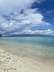 Fototapeta na wymiar Plage de sable blanc à Moorea, Polynésie française