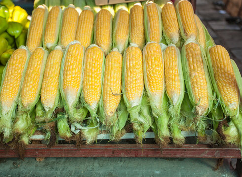 Fresh organic corn on a market.