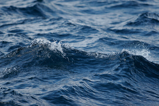 Crest of a wave