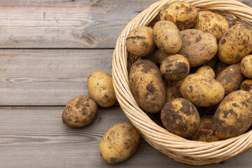 Basket with fresh raw potatoes on wooden background, top view, flat lay