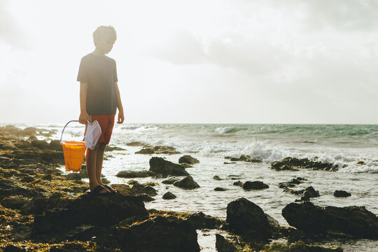 Boy Catching Crabs on Rocky Shore