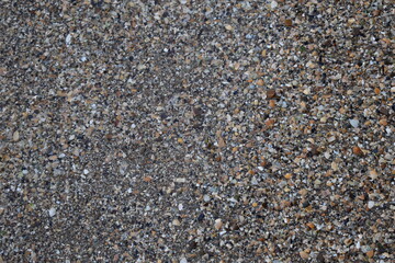 seashells