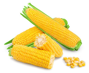 ear of corn isolated on a white background. Clipping path and full depth of field