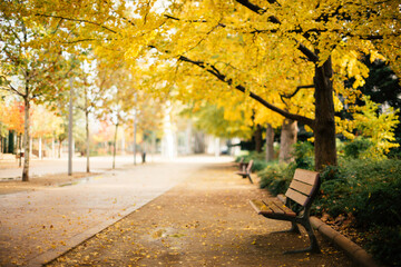 Empty bank on the street, with autumn colors trees