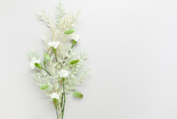 Flower composition made of dried light-green leaves of ruscus and white flowers on pastel grey background. Nature concept, copy space, flat lay.