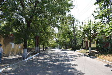 Fototapeta premium street in the city