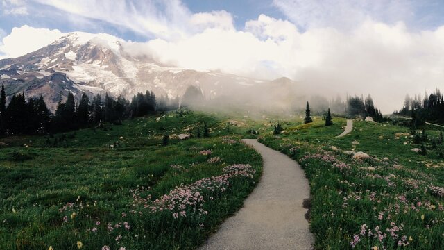 Pathway to Mountain