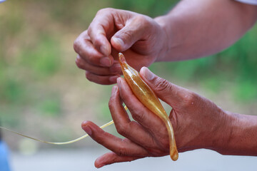 Blowing sugar,old Beijing folk art