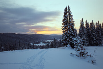 Snow-covered mountain path stretching into the distance against the background of a spruce forest and the setting sun. Mountain Shoria, Siberia, Russia