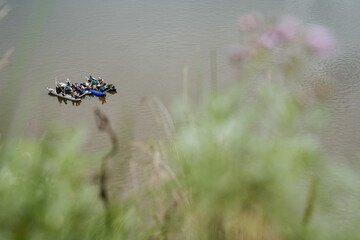 sports catamaran for rafting on mountain rivers, Hiking equipment, inflatable catamaran stands on...