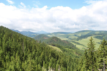 Fototapeta na wymiar poland mountain landscape in the summer