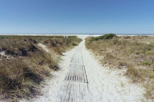 Path leading to the beach
