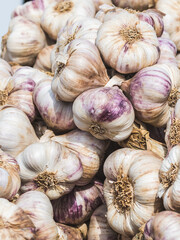 Closeup of ripe garlic, vertical stock photo