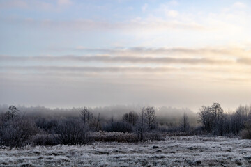winter landscape with fog