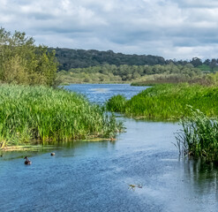 Views around RSPB Leighton Moss, Lancashire. August 2020