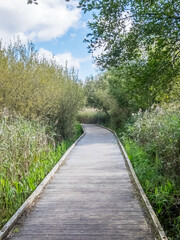 Views around RSPB Leighton Moss, Lancashire. August 2020