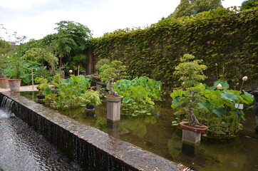 JARDIN AQUATIQUE BAMBOUSERAIE FRANCE