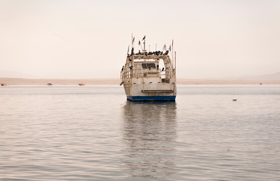 Fishing trawler at anchor in a calm harbour