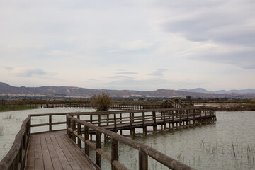 Fototapeta premium Bridge made of wood in the natural park called 'El Hondo' in a cloudy day in Elche, Alicante, Spain
