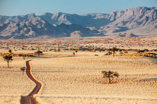 desert track through a grassy plain in Namibia