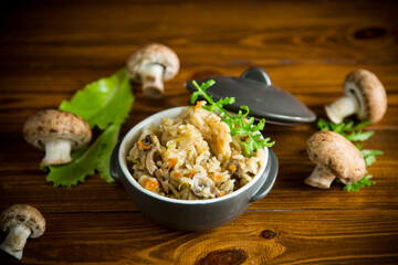 vegetarian cooked rice with mushrooms in a ceramic bowl