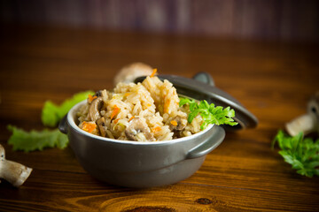 vegetarian cooked rice with mushrooms in a ceramic bowl
