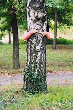 Person hugging a tree