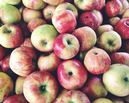 Fresh delicious apples sold at a local farmer's market.