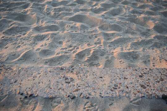 beach