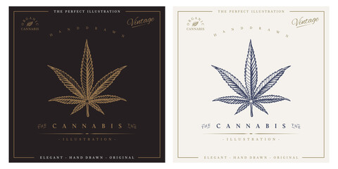 Fototapeta na wymiar Cannabis vintage logo engraving illustration