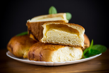 sweet homemade baked cakes with cottage cheese