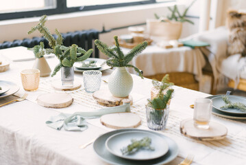 Blue plates, gold Cutlery, a spruce branch on a plate, pine branches in vases. Festive Christmas winter dinner or family dinner service