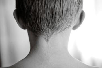 Back of boys head showing nape of neck and hairline