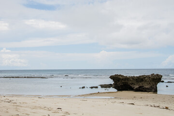 beach and rocks