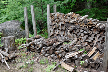 Huge Firewood Pile